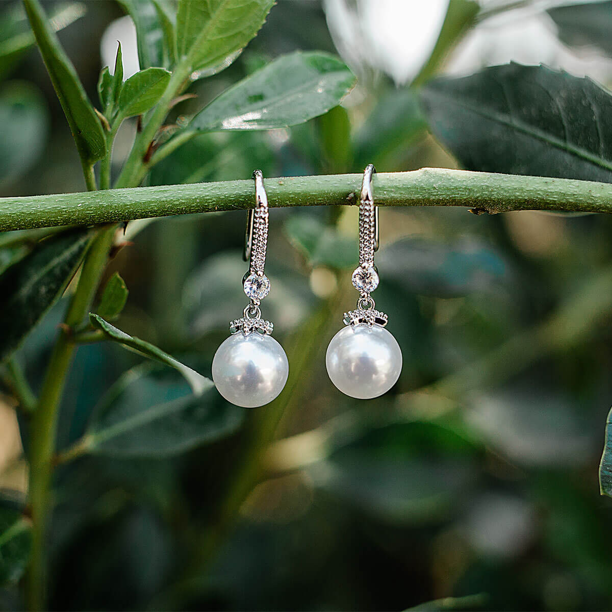 AK Silver Romantic Pearls Earrings With Zircon